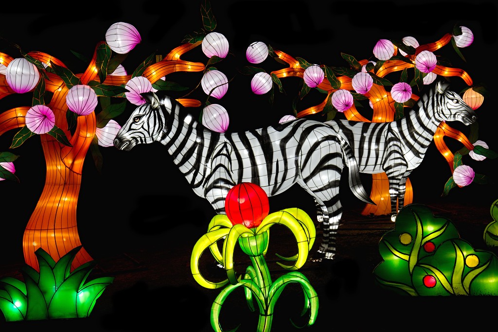 china light licht festival lichtshow show festiviteit glow evenement event chinees chinese verlichting draak dragon lichtfestival zoo